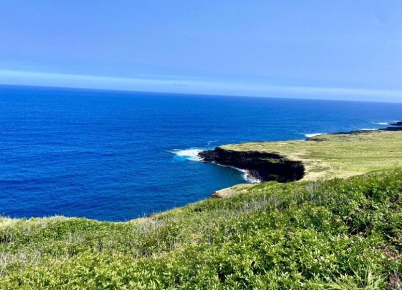 Charming 1 Bedroom Beach Condo Prime Location Great Value Pahala Exterior foto